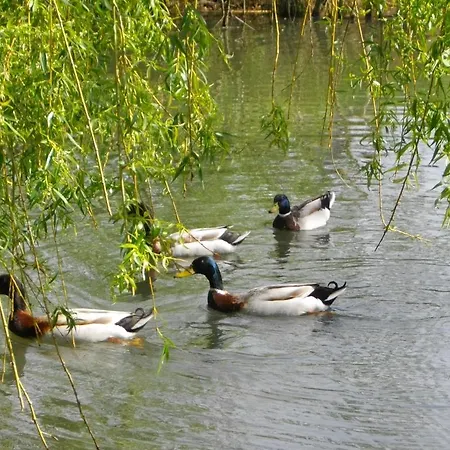 Guest house Chateau Pontet D'eyrans &