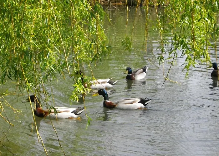 Gasthuis Chateau Pontet D'eyrans &